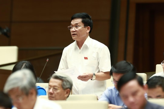 Giao thẩm quyền cấp chứng chỉ hành nghề kiến trúc cho chủ tịch UBND cấp tỉnh là chưa phù hợp