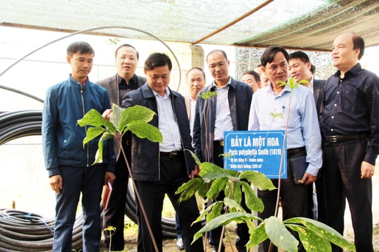 Nghệ An: Thiếu hụt nguồn lực phát triển khoa học và công nghệ