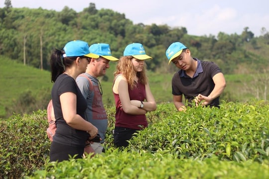 Nhà đầu tư 'hiến kế' phát triển du lịch Nghệ An