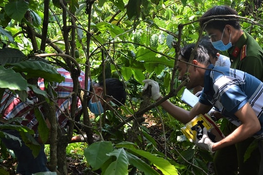 Vụ 3 bà cháu bị sát hại: Sợi tóc, giọt máu tố cáo hung thủ gây án