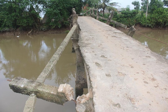 Cận cảnh cây cầu dân sinh xuống cấp nghiêm trọng ở Quỳnh Lưu (Nghệ An)