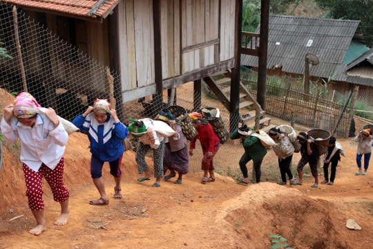 Nhân dân huyện Tương Dương đóng góp gần 90 tỷ đồng xây dựng nông thôn mới