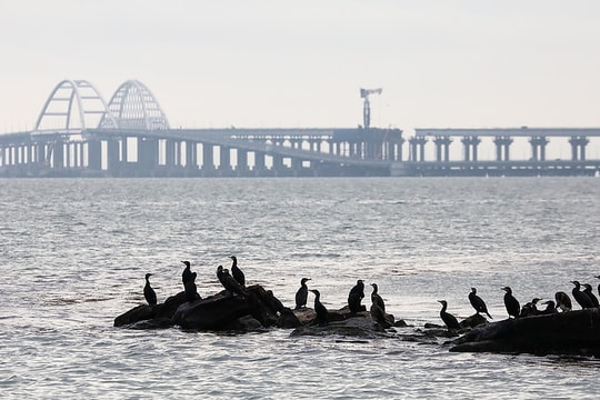 Ukraine tìm kiếm quy chế quốc tế cho eo biển Kerch; Thảm sát đẫm máu ở Nhật Bản