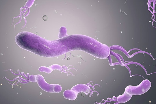 Những thực phẩm giúp bạn 'triệt hạ' vi khuẩn HP gây ung thư dạ dày