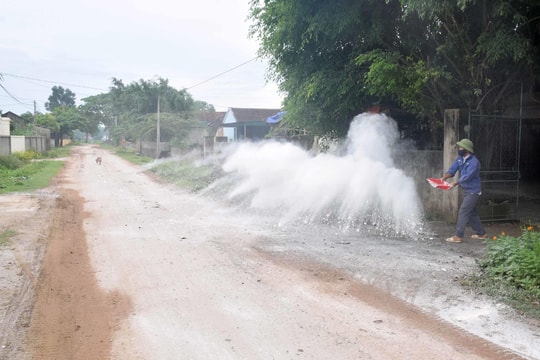 Quê lúa Yên Thành xuất hiện thêm 2 ổ dịch tả lợn châu Phi