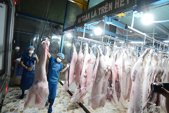 Kiến nghị hỗ trợ cấp đông thịt vì dịch tả lợn châu Phi