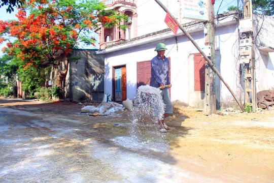 Thị xã Hoàng Mai có 4 phường xuất hiện dịch tả lợn châu Phi