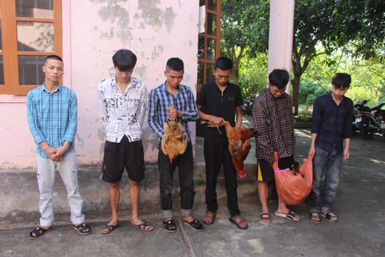 Nhóm 6 đối tượng trộm cắp liên huyện ở Nghệ An sa lưới