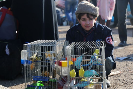 Người tị nạn Syria đang rời khỏi Thổ Nhĩ Kỳ trở về quê hương