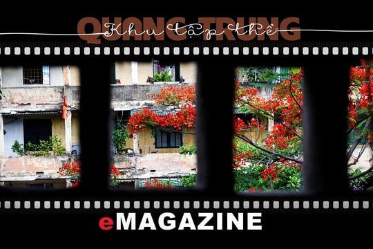 Nhà B khu Quang Trung rồi sẽ là thương nhớ…