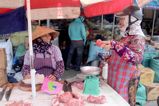 Trước dịch tả lợn châu Phi, TP. Vinh siết quản lý giết mổ, kêu gọi không quay lưng với thịt lợn