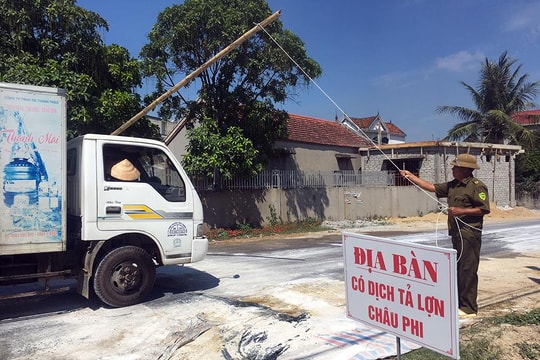 Nhiều xã vùng uy hiếp ở Quỳnh Lưu chưa quyết liệt phòng chống dịch tả lợn châu Phi