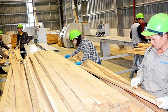 Nghệ An: Đưa công nghiệp chế biến gỗ thành ngành kinh tế mũi nhọn