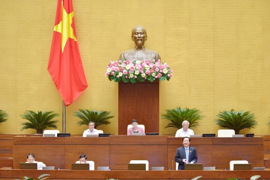 Quốc hội thảo luận đề xuất giảm số lượng Phó Chủ tịch HĐND cấp tỉnh, huyện