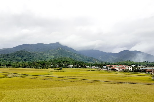 Phương án sáp nhập 168 xóm, bản ở huyện vùng biên Quế Phong