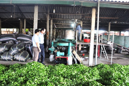 Nghệ An: Gần 100.000 tỷ đồng cho vay phát triển nông nghiệp, nông thôn