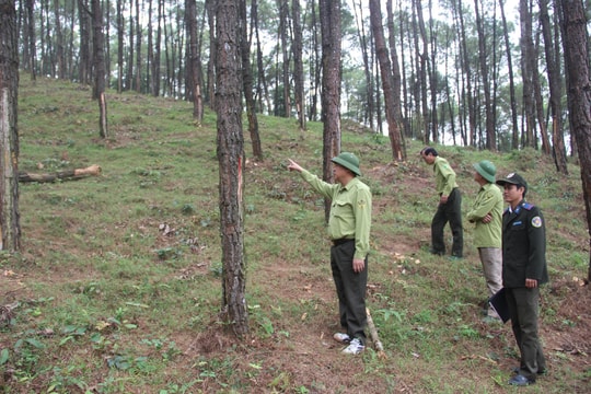 Giao đất, giao rừng gắn với phòng, chống cháy rừng