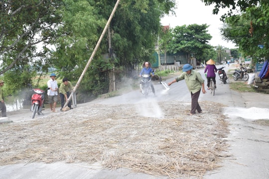 Chấn chỉnh hoạt động của các chốt chặn dịch tả lợn châu Phi