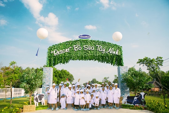 Vinamilk tổ chức cho trẻ em thăm Resort bò sữa 