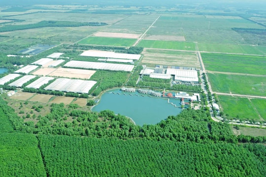 Chiến lược để dẫn đầu thị trường của 'triệu phú sữa tươi' Việt Nam