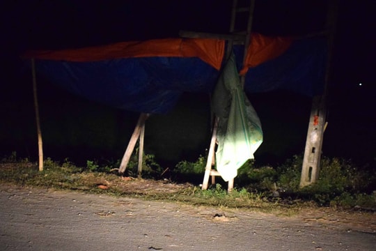 Diễn Châu: Các chốt kiểm dịch tả lợn vắng người trực đêm