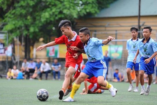 Highlight Thiếu niên TP. Vinh - Thiếu niên Tân Kỳ: 1 - 0