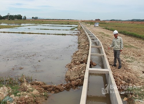 Công bố quyết định kiểm toán nhiều dự án tại Nghệ An