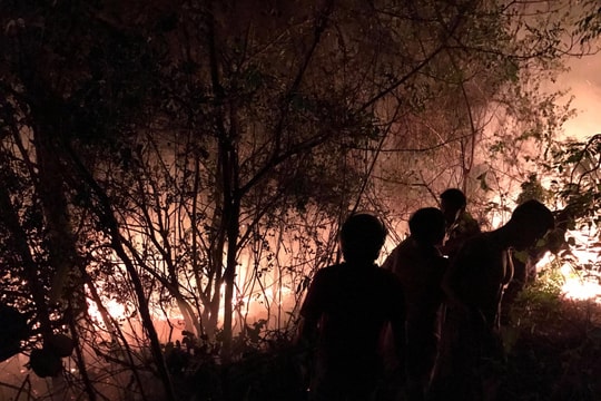 Khống chế thành công đám cháy rừng thông trên núi Quyết