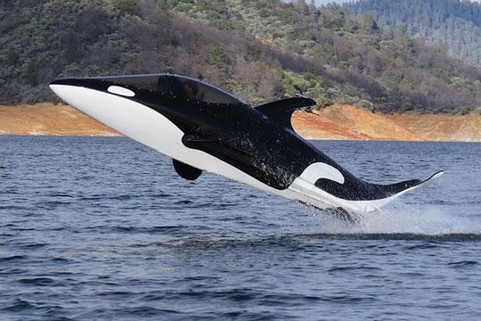 Tàu ngầm lao lên mặt nước, xoay vòng như cá voi