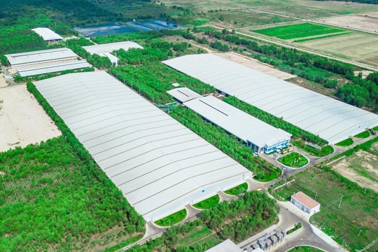 Khám phá nguồn gốc ly sữa học đường - những trải nghiệm thú vị