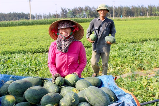 Xây dựng tổ chức Hội và giai cấp nông dân vững mạnh