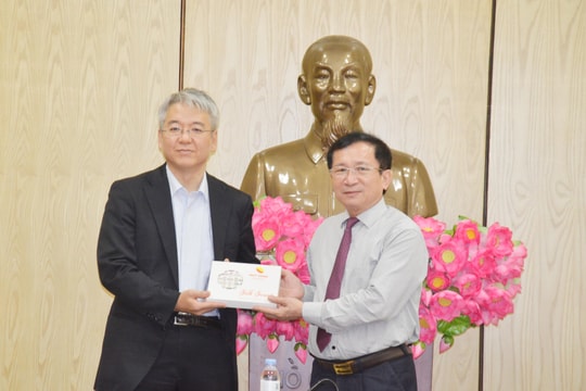 Thúc đẩy các công ty Nhật Bản đầu tư vào lĩnh vực nông nghiệp Nghệ An