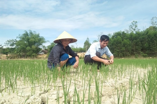 Nghệ An yêu cầu các nhà máy thủy điện phối hợp xả nước chống hạn 