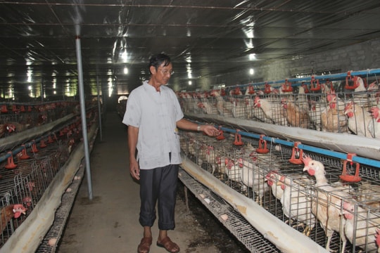 Xã Hưng Khánh (Hưng Nguyên) đón Bằng công nhận xã đạt chuẩn nông thôn mới