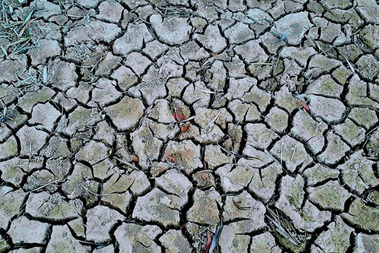 200 hồ đập Nghệ An cạn trơ đáy sau 1 tháng nắng nóng kịch điểm