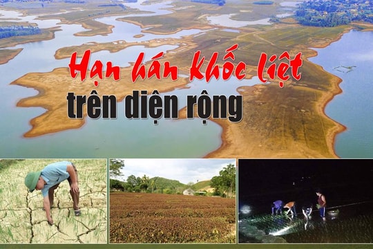 Hạn hán khốc liệt trên diện rộng ở Nghệ An