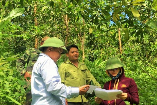 Nghệ An: Chi trả tiền dịch vụ môi trường rừng qua ngân hàng và giao dịch thanh toán điện tử