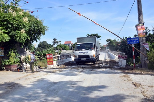 Nhiều xã ở Nghệ An tái phát dịch tả lợn châu Phi 