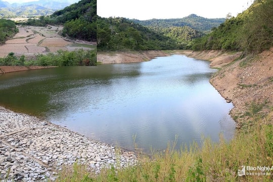 Bí thư Trung ương Đảng Phan Đình Trạc: Chủ động thực hiện giải pháp chống hạn, tiết kiệm nước tưới