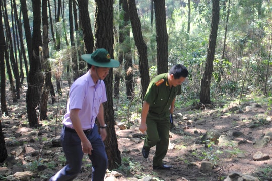 Công an Nam Đàn phát hiện kẻ dùng thuốc lá đốt rừng