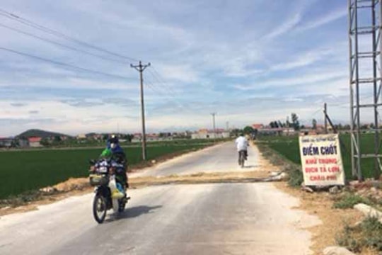 Quỳnh Lưu: Tái bùng phát dịch tả lợn châu Phi, chốt kiểm soát bị 'bỏ trống'