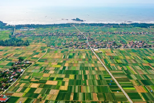 Mát mắt những mảng xanh đẹp như tranh ở miệt bãi ngang Nghệ An