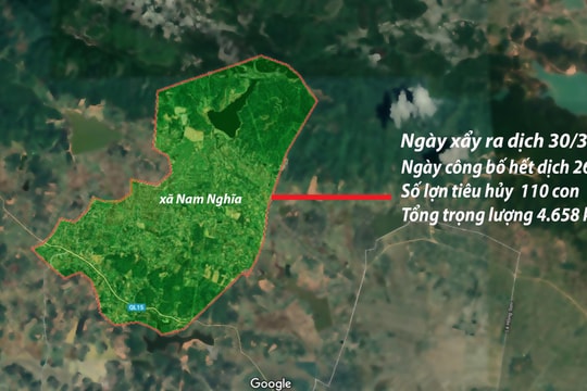 Huyện Nam Đàn (Nghệ An) công bố hết dịch tả lợn châu Phi