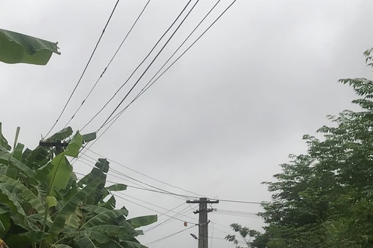 Làm giàn hoa phong lan cho bố vợ, con rể bị điện giật tử vong