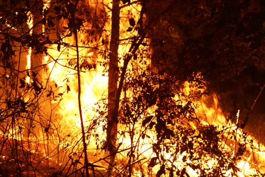 Rừng Nam Đàn lại cháy ngùn ngụt, cả nghìn người chữa cháy trong đêm