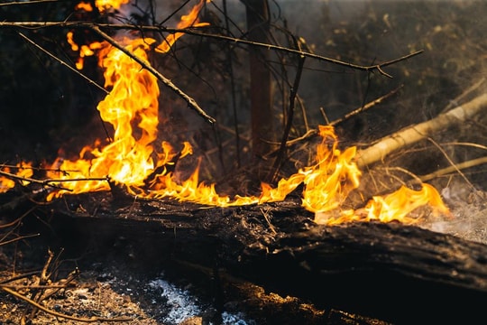 Hai ngày đêm căng mình dập lửa cứu rừng Hồng Lĩnh