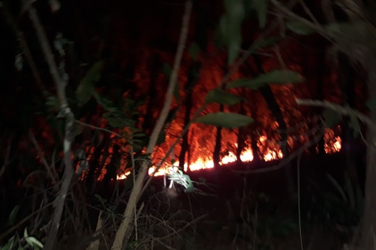 Đã khống chế được lửa rừng ở Thanh Chương