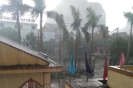 Sau ròng rã đại hạn, nhiều huyện ở Nghệ An đón 'mưa vàng'