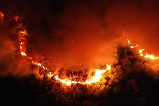 H'Hen Niê, Đỗ Mỹ Linh cùng sao Việt hướng về vụ cháy rừng ở miền Trung