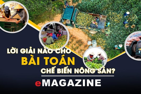 Lời giải nào cho bài toán chế biến nông sản?